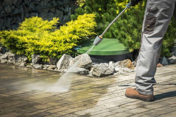 Best Restaurant Pressure Washing  in Shepherd, TX