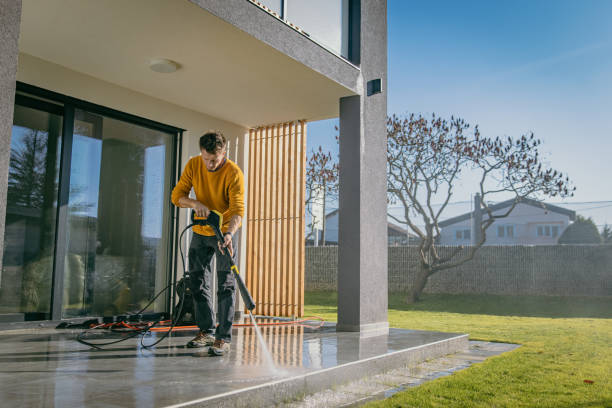 Best Driveway Pressure Washing  in Shepherd, TX